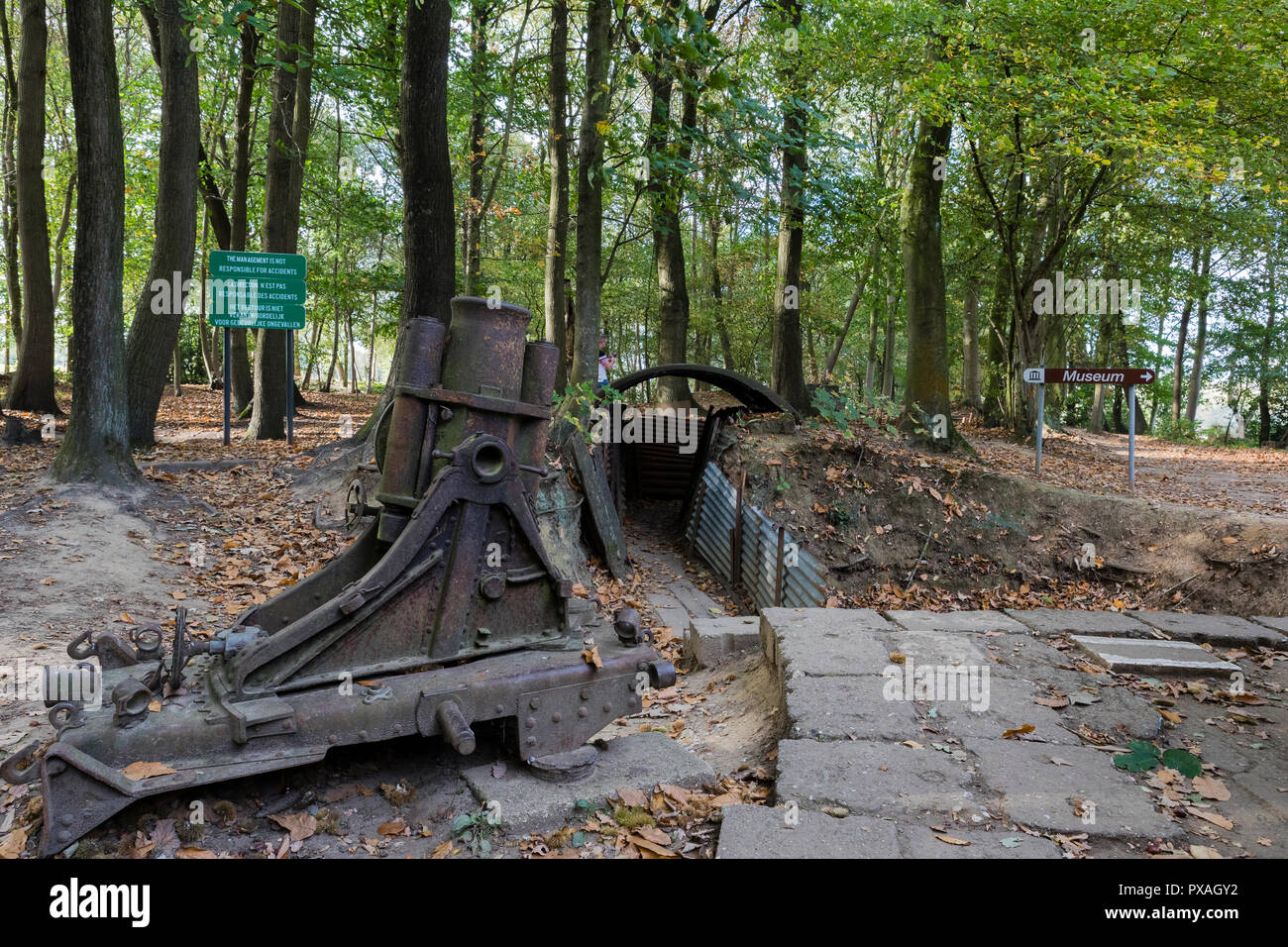 Sanctuary Holz Gräben und weggeworfenen Schalen in Ypern, Belgien Stockfoto
