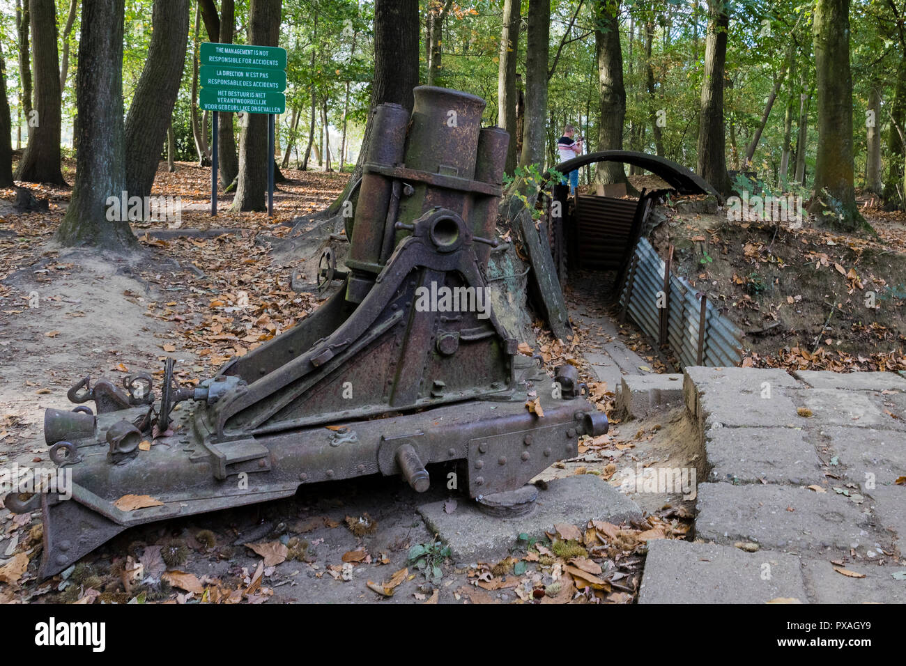 Sanctuary Holz Gräben und weggeworfenen Schalen in Ypern, Belgien Stockfoto