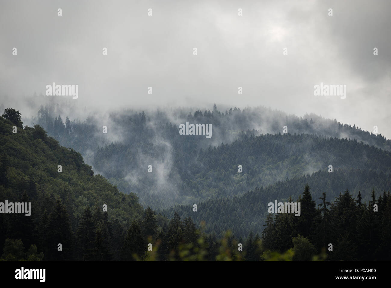 Mystic Regenwolken hängen in den Wäldern und Bergen Stockfoto