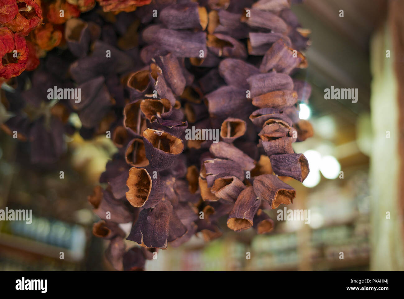 Getrocknete Auberginen hängend an einer Schnur am Ägyptischen Basar oder Spice Basar in Istanbul, Türkei Stockfoto