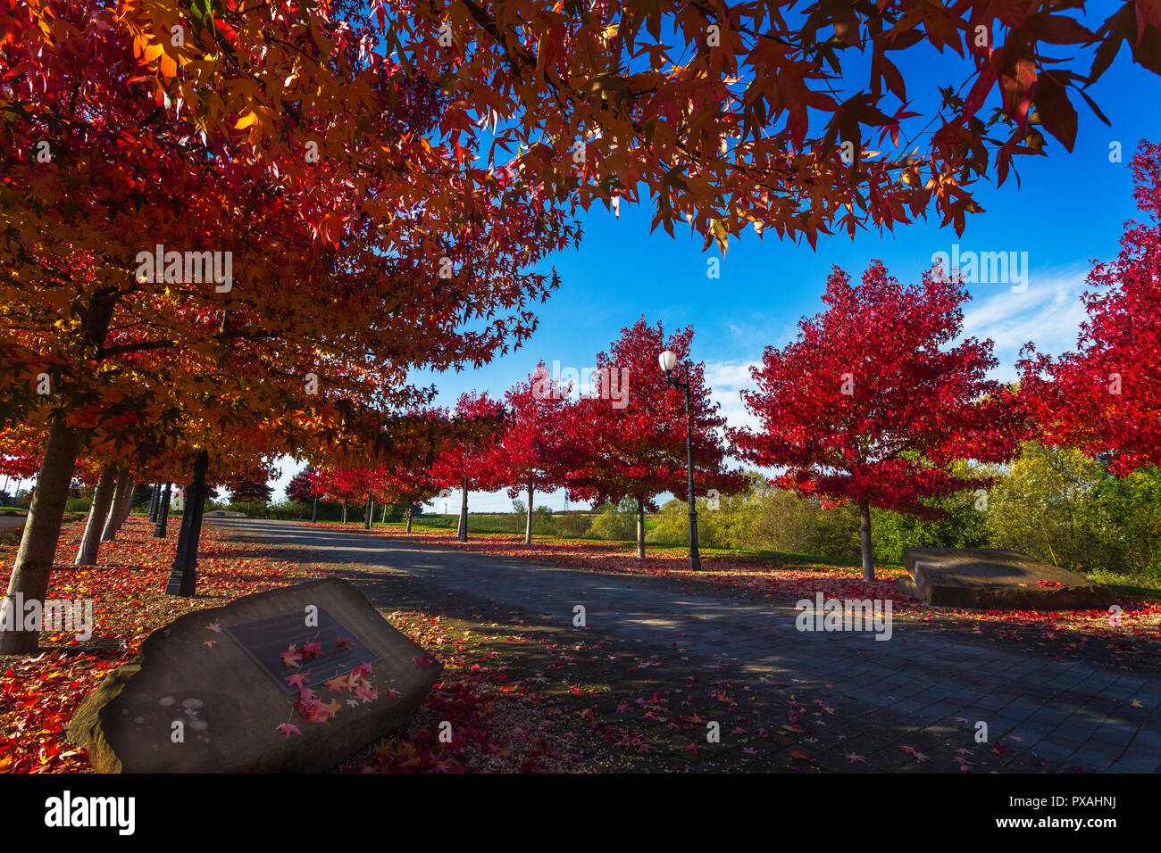 Crewe Friedhof im Herbst Farbe Stockfoto