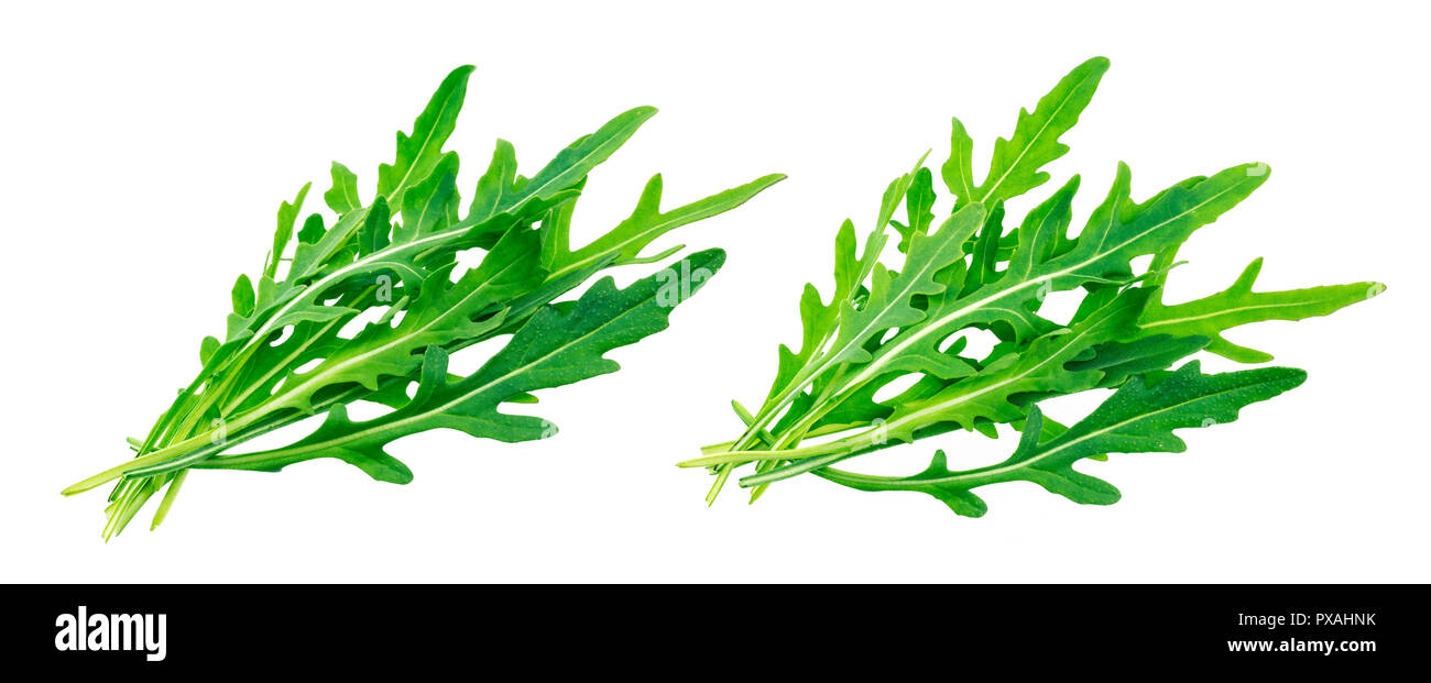 Rucola. Haufen frischen Rucola Blätter auf weißem Hintergrund Stockfoto
