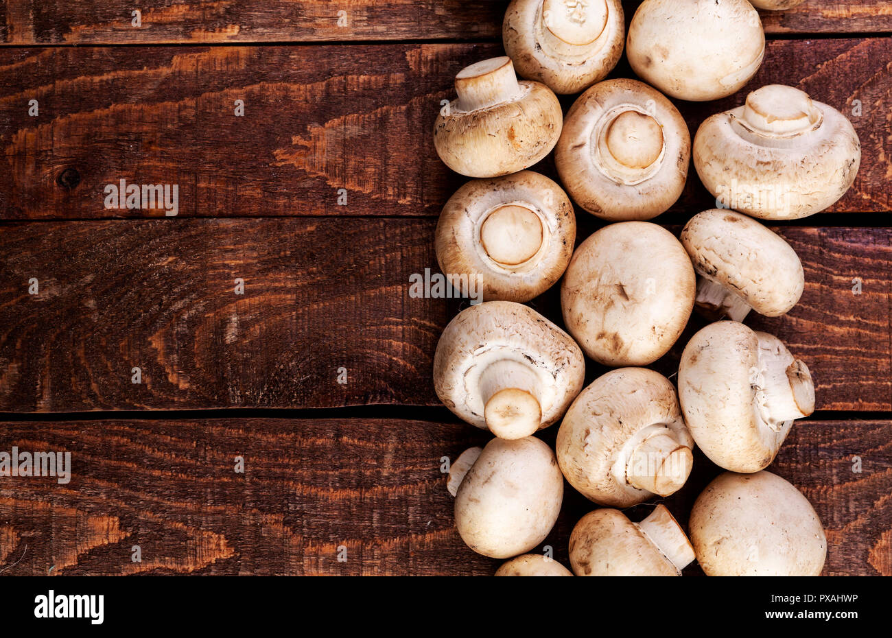 Frische champignon Pilze an Holz- Tabelle, Ansicht von oben. Platz kopieren Stockfoto