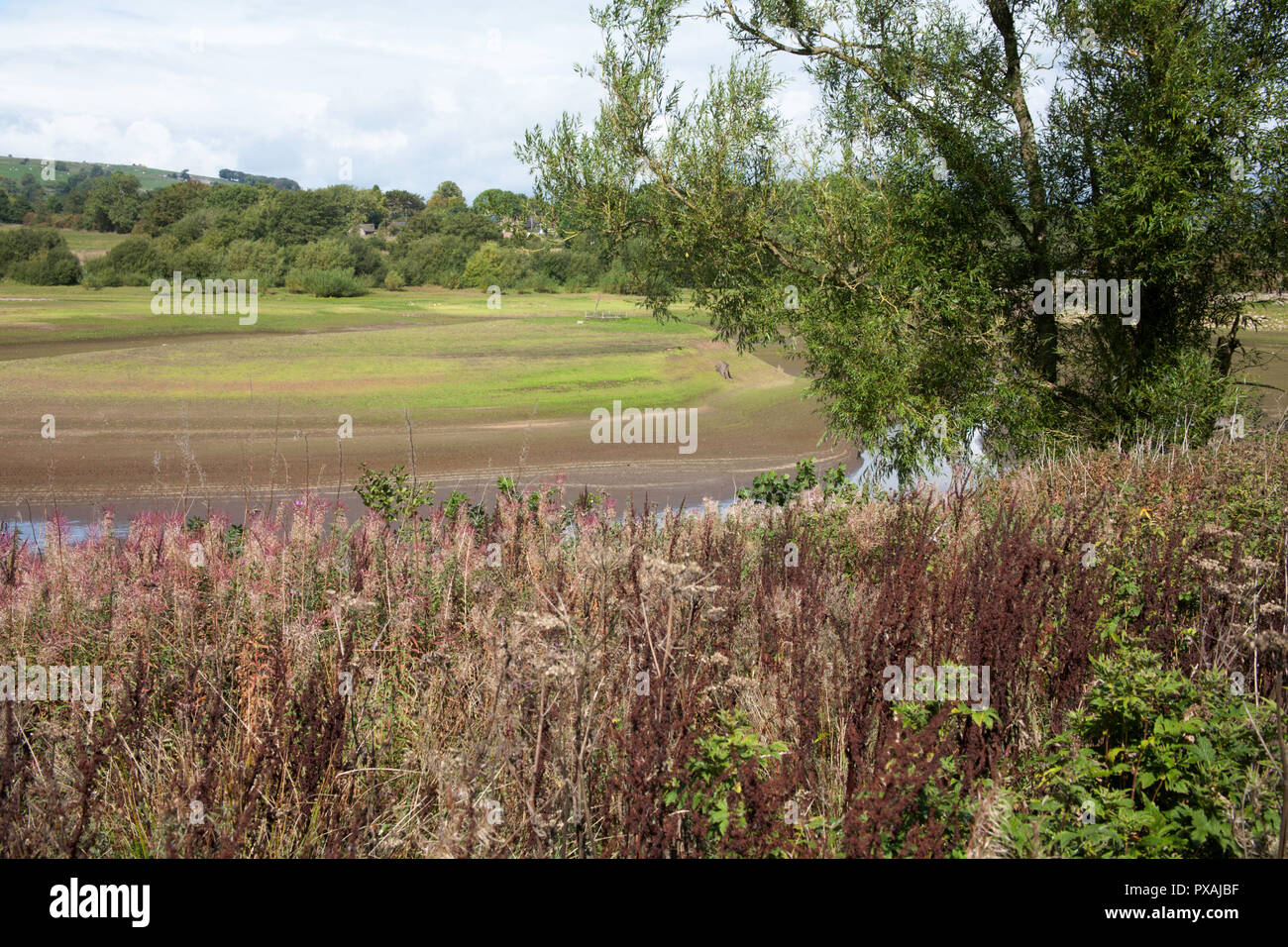Niedrige Wasserstände im Sommer 2018 bei Dürre betroffenen Behälter Tittsworth Tittsworth vom Wanderweg in der Nähe von Peak District Leek Staffordshire England Stockfoto