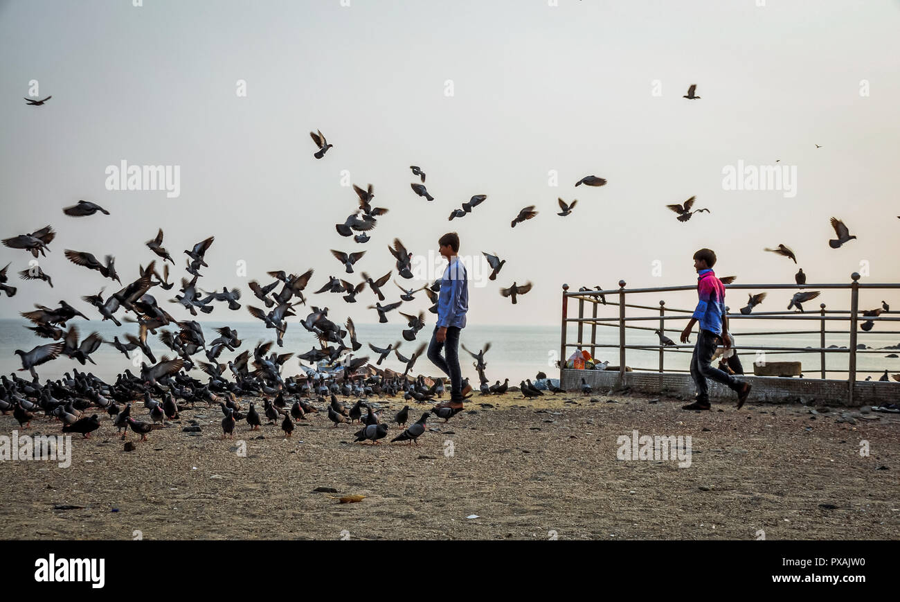 Vögel am Strand in Bombay, Indien Stockfoto