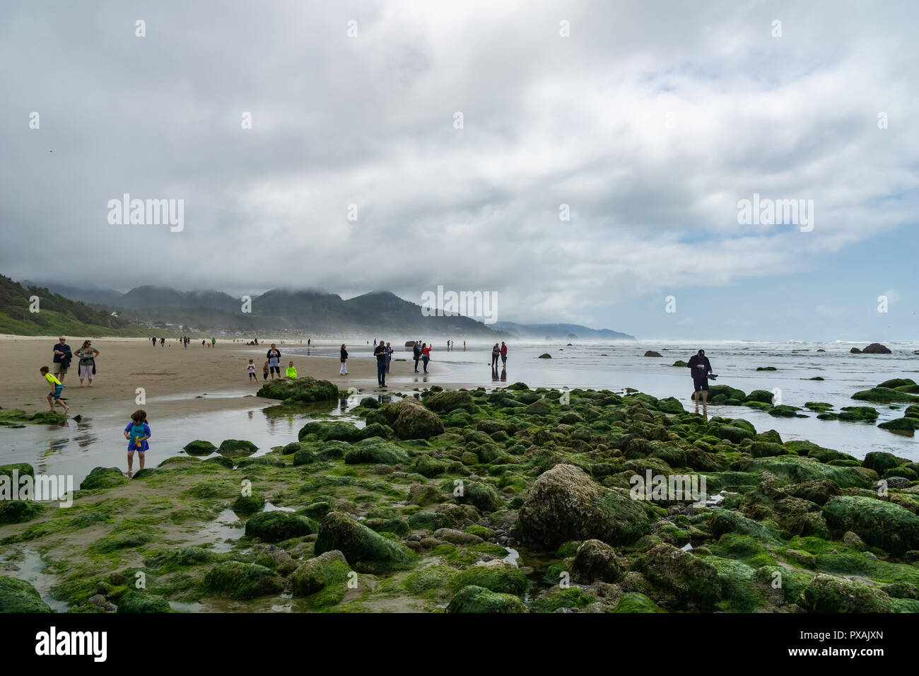 Personen oder Touristen, Haystack Rock marine Garten oder tidepools bei Cannon Beach, beliebten Wahrzeichen der Küste von Oregon, USA. Stockfoto