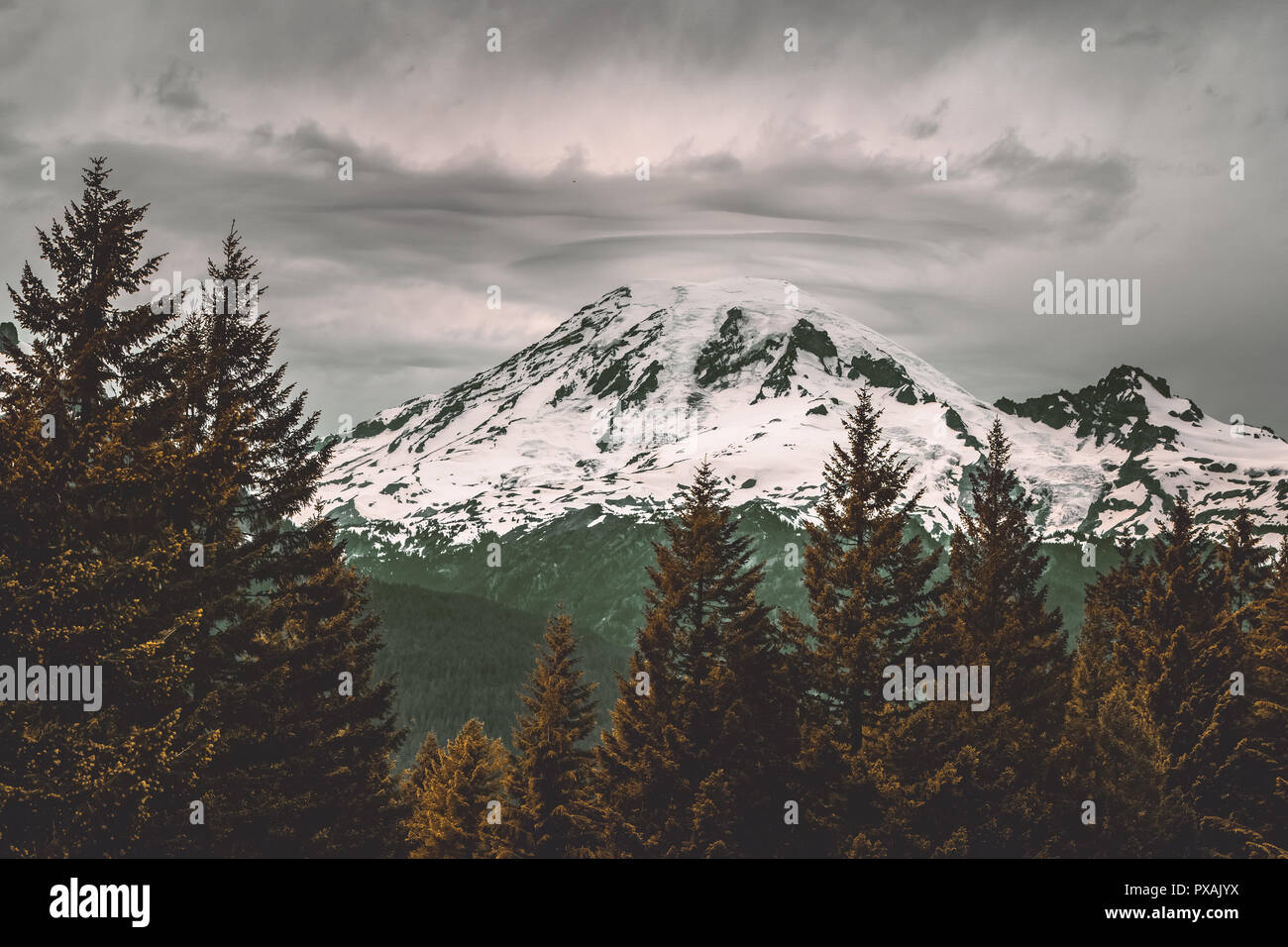 Malerischer Blick auf Mount Rainier mit Schnee bedeckt an einem bewölkten Tag, Mt Rainier National Park, natürliche Wahrzeichen von Washington State, USA. Stockfoto