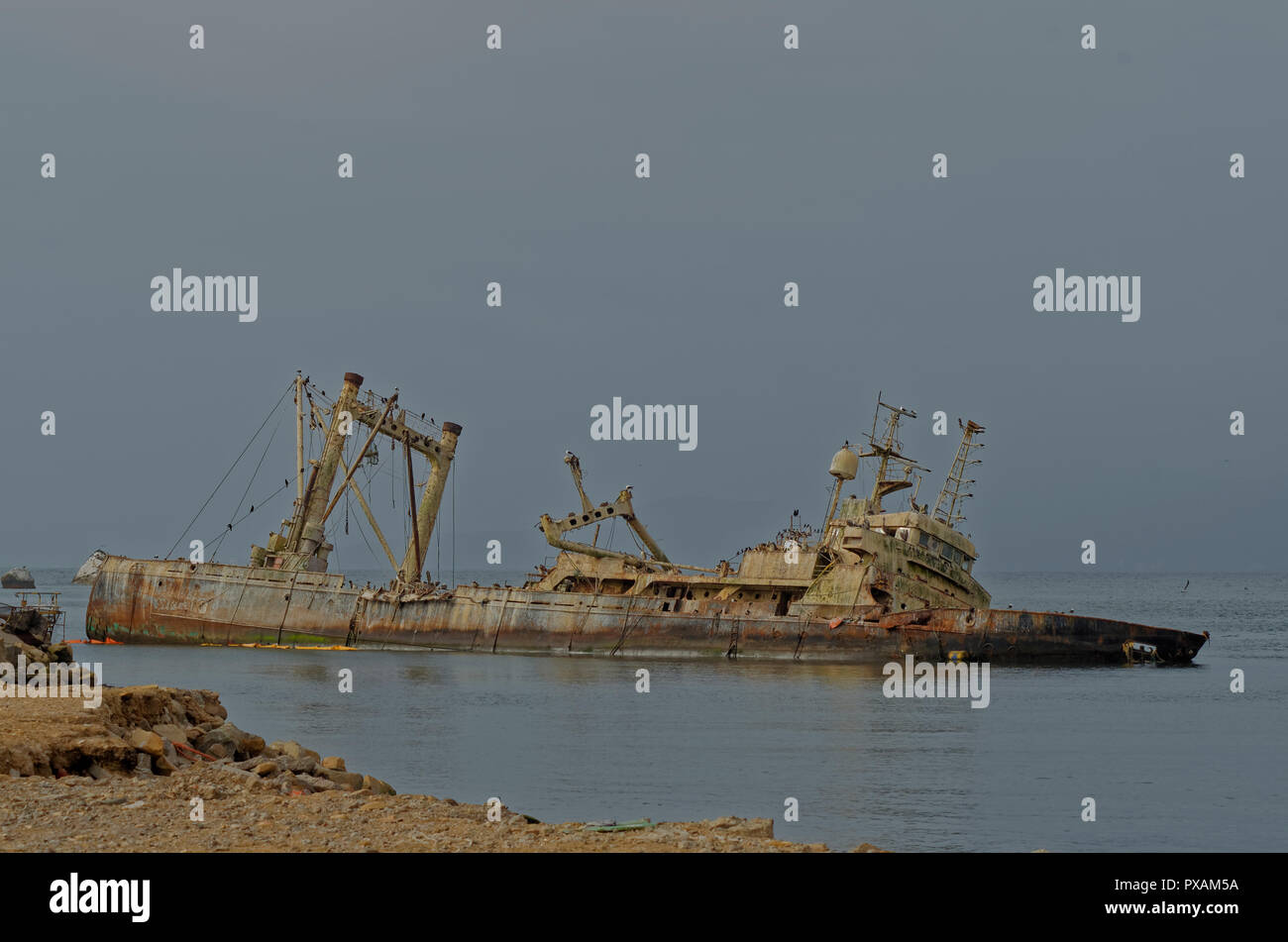 Versunkenen Schiff an der Küste von Coquimbo, mit Vögel nisten im Inneren Stockfoto