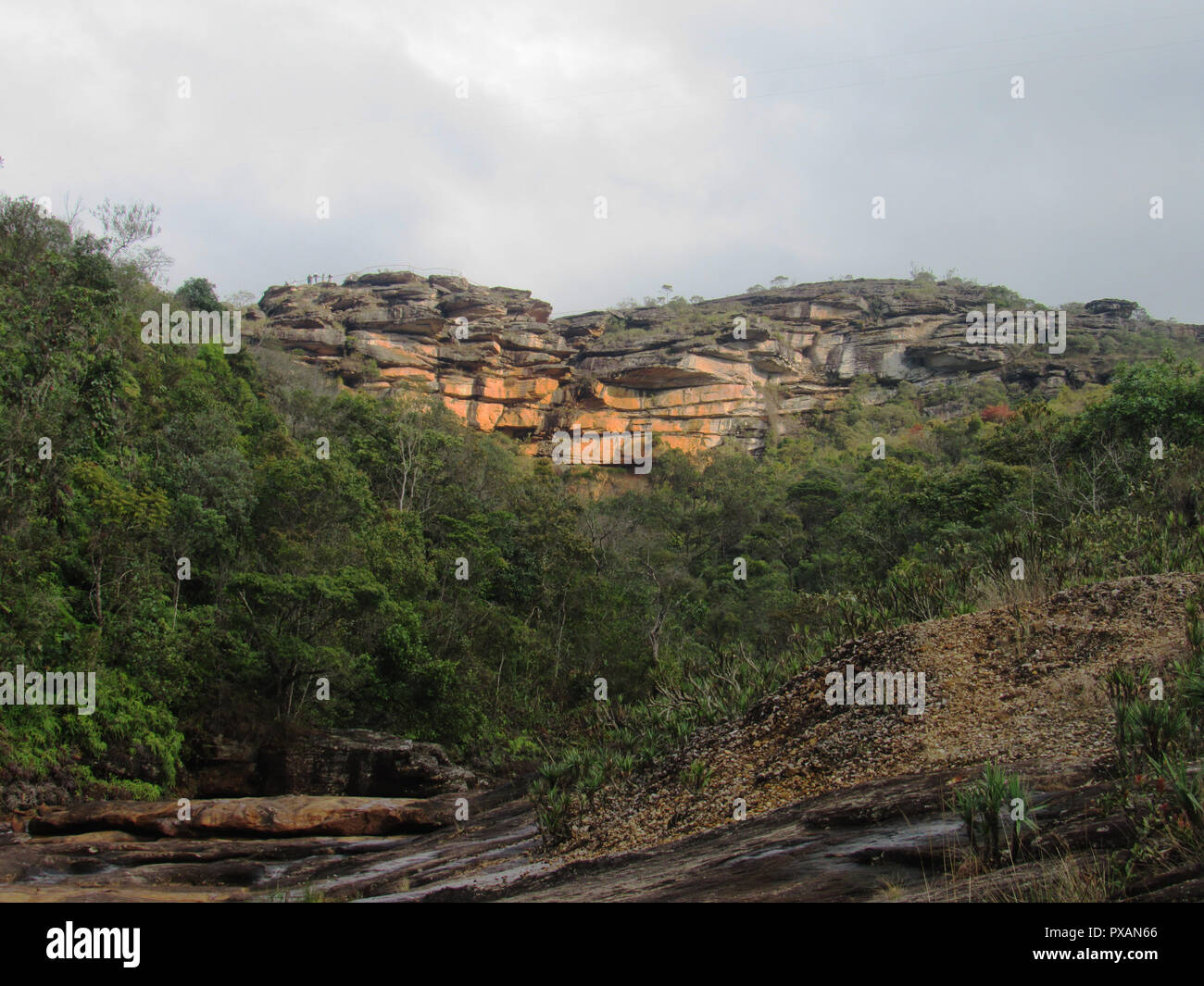 Vista Paredão rochoso das Cachoeira das Andorinhas, Parque das Andorinhas Ouro Preto-MG. Stockfoto