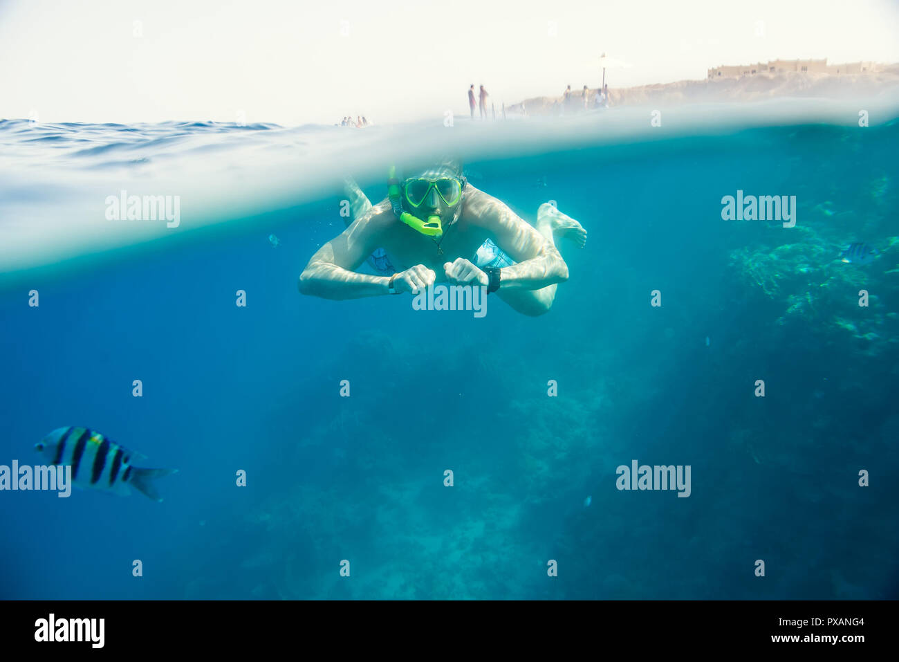 Mann in Schnorcheln eingerückt Stockfoto