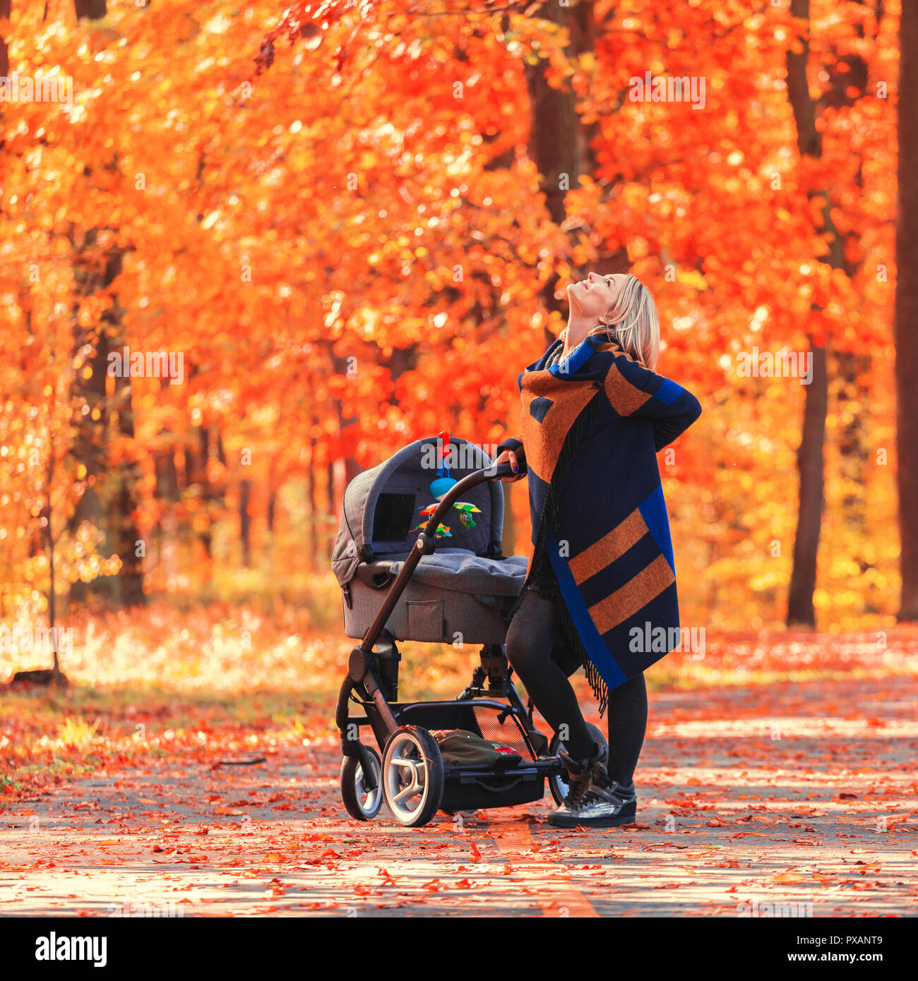 Eine junge Mutter mit Kinderwagen Spaziergnge durch den Herbst Park  Stockfotografie - Alamy