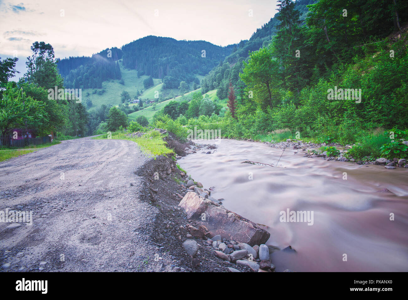 Fluss in den Karpaten. Stockfoto