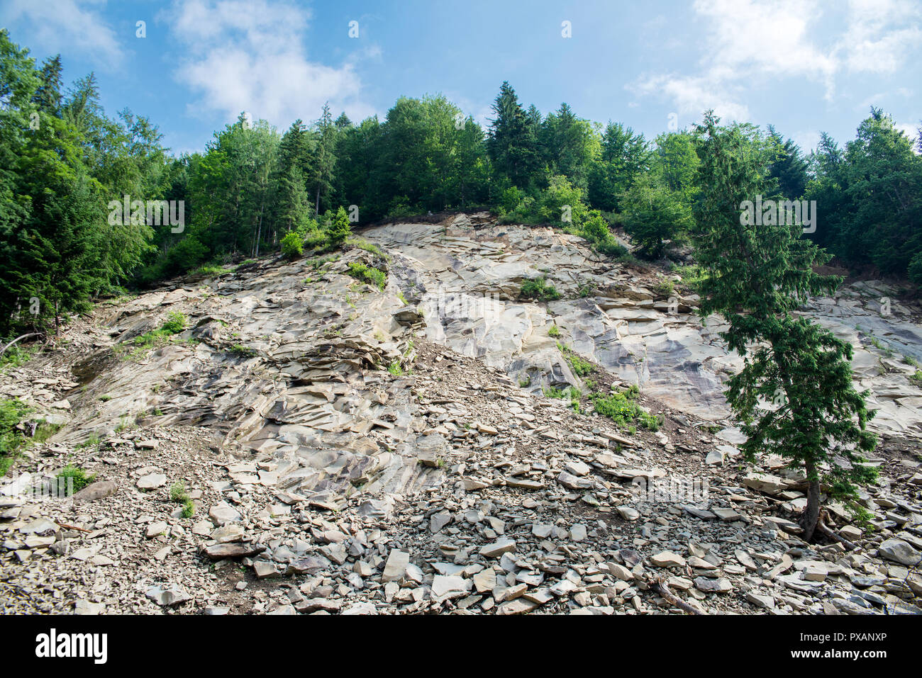 Landschaft in den Karpaten. Stockfoto