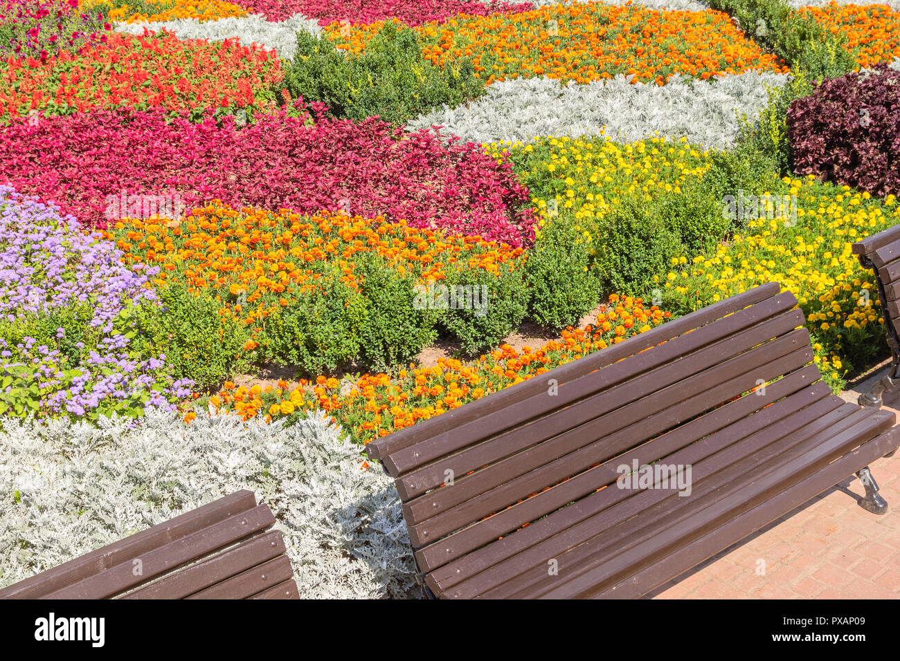 Stadtbild mit bunten Blumenbeet und mit Bänken Stockfoto