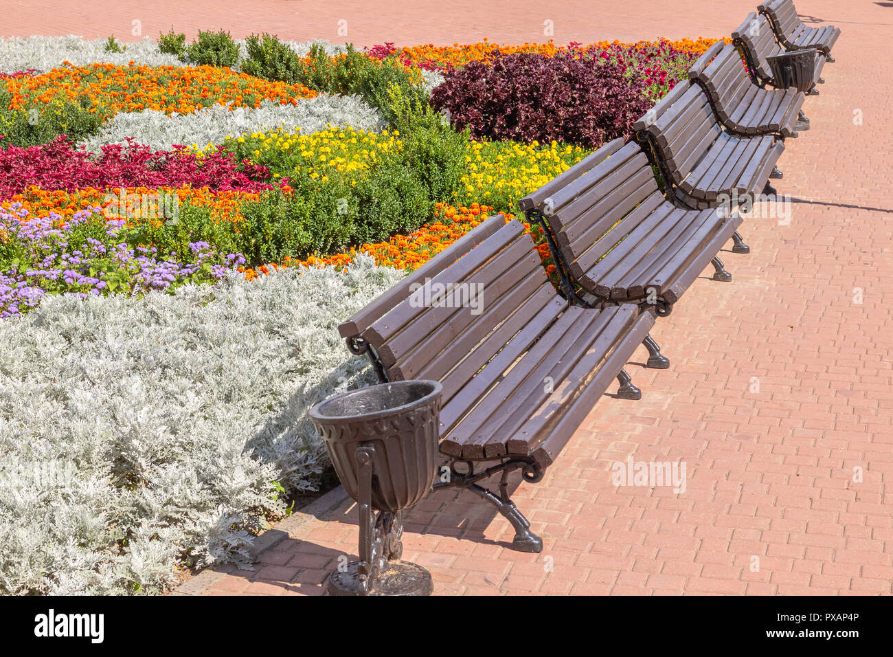 Stadtbild mit bunten Blumenbeet und mit Bänken in der Perspektive Stockfoto