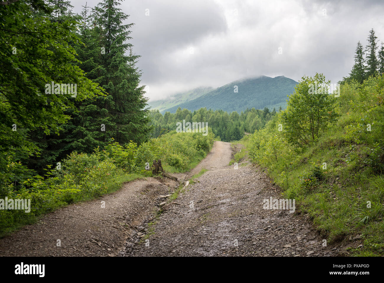 Landschaft in den Karpaten. Stockfoto