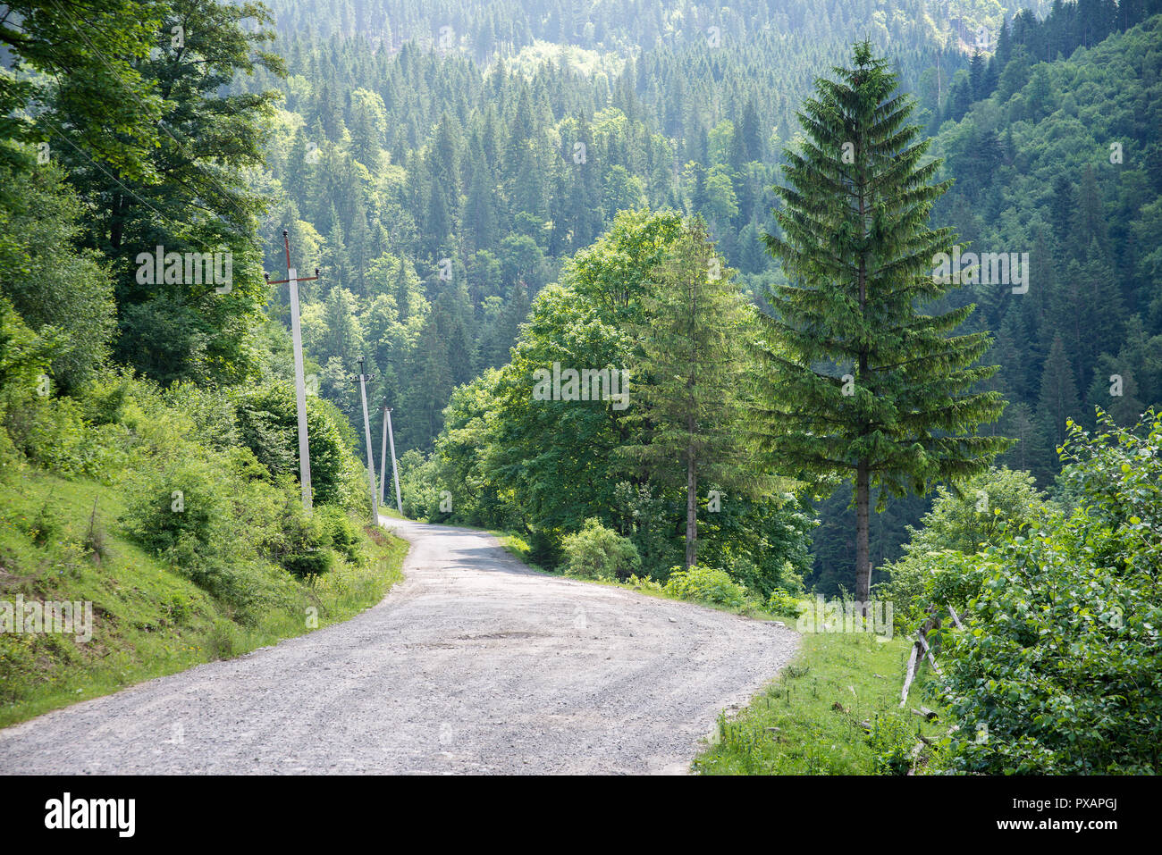 Straße in den Karpaten. Stockfoto