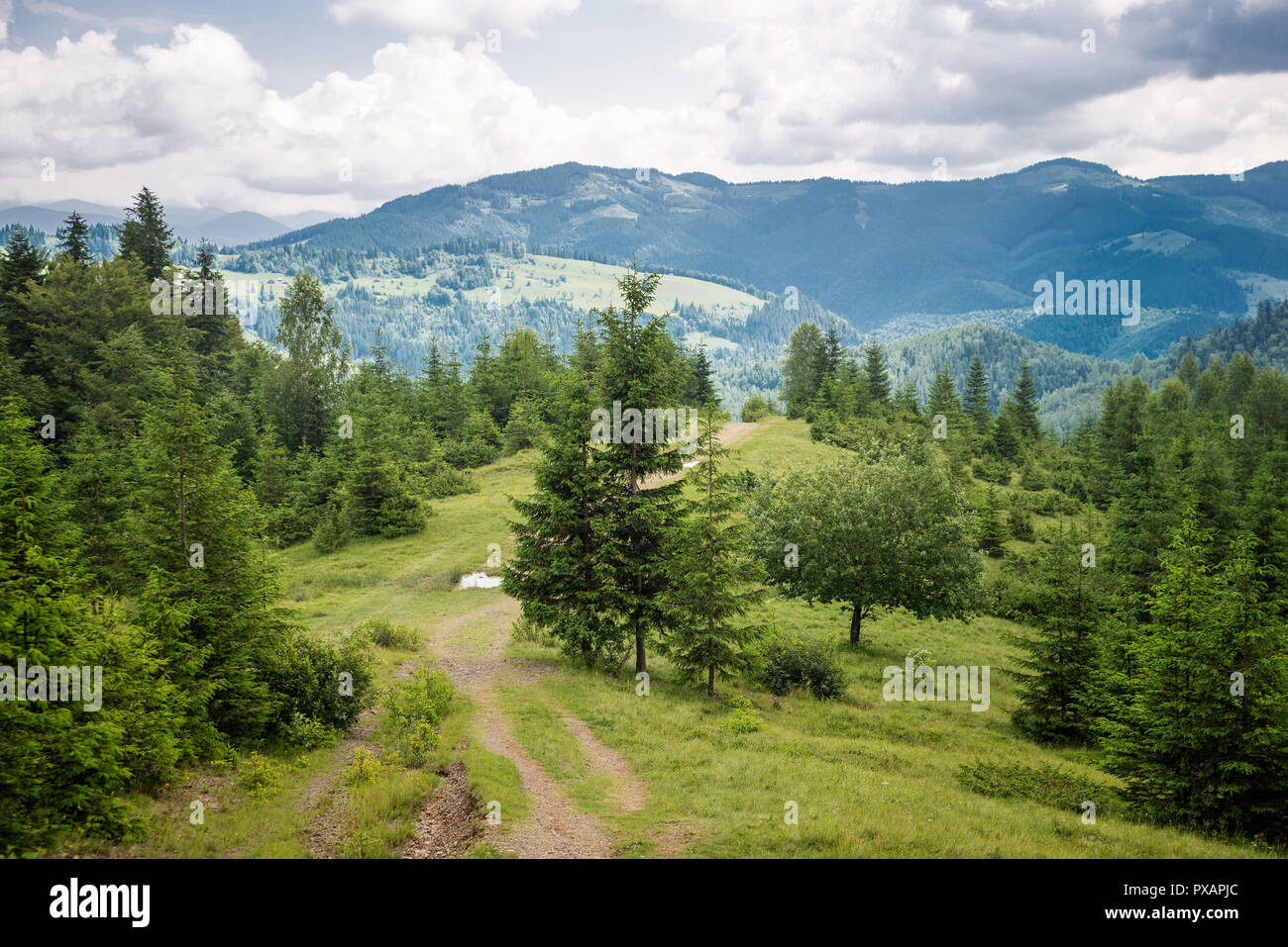 Landschaft in den Karpaten. Stockfoto