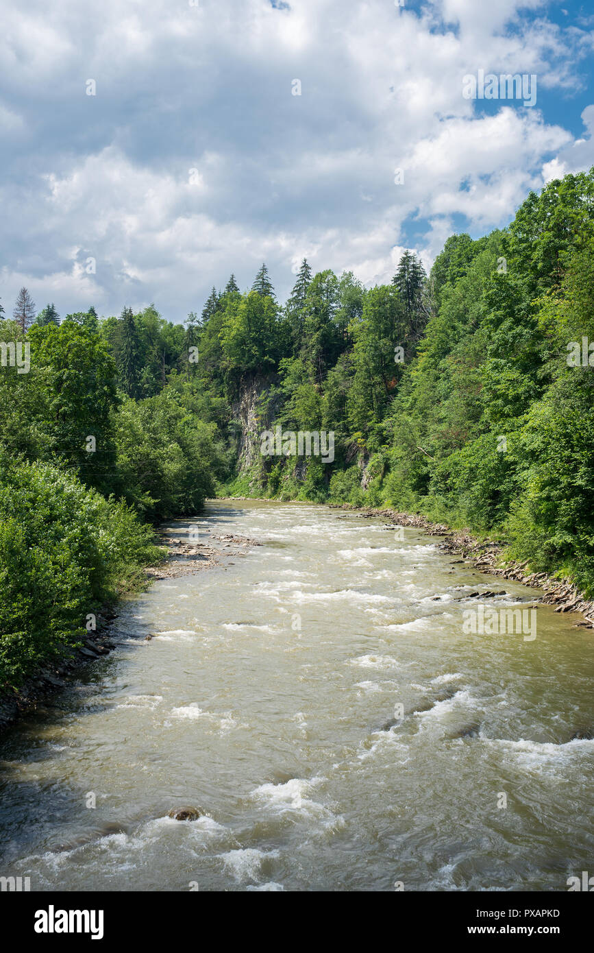 Fluss in den Karpaten. Stockfoto