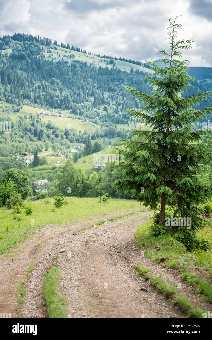 Landschaft in den Karpaten. Stockfoto