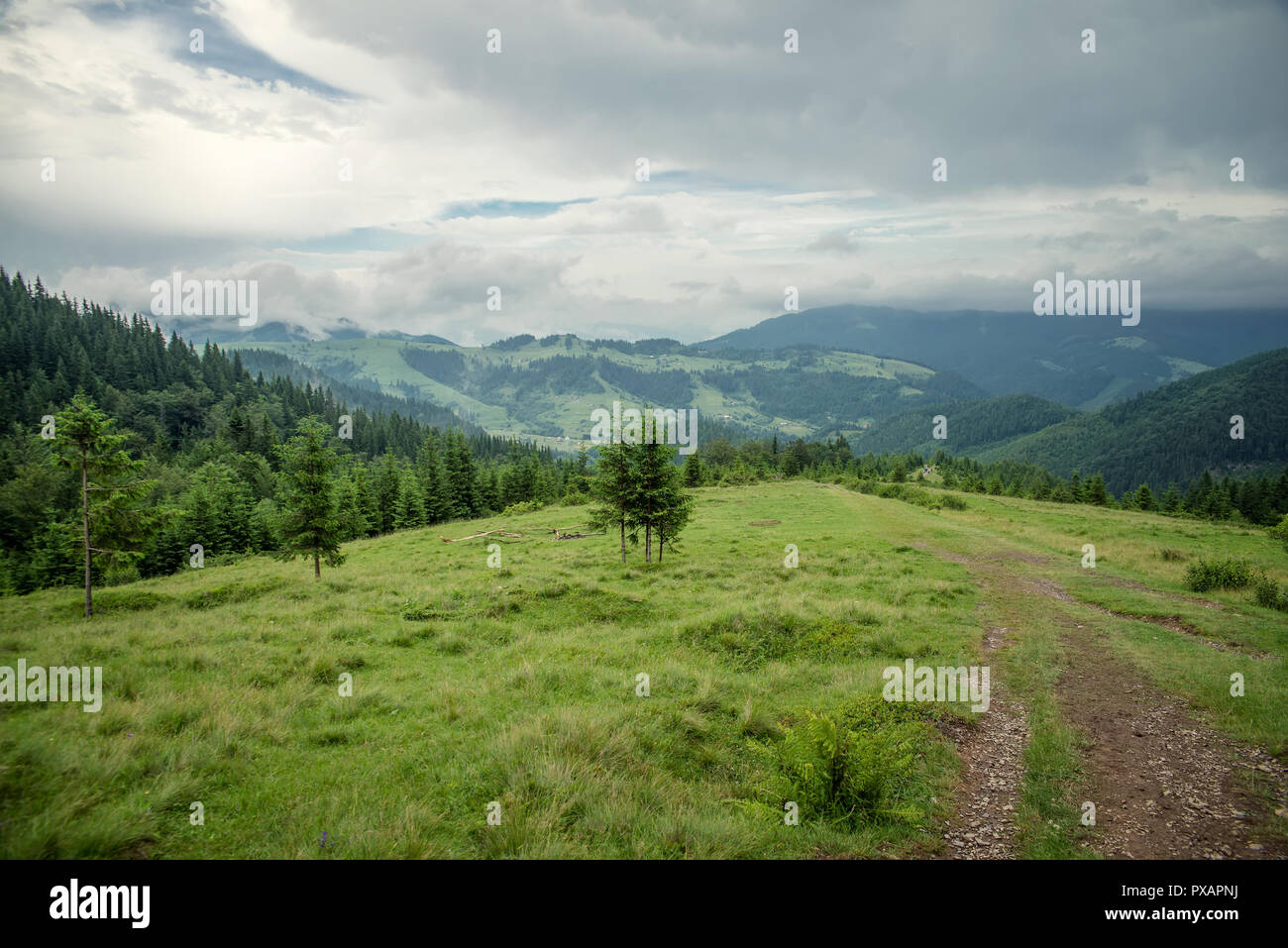 Andscape in den Karpaten. Stockfoto