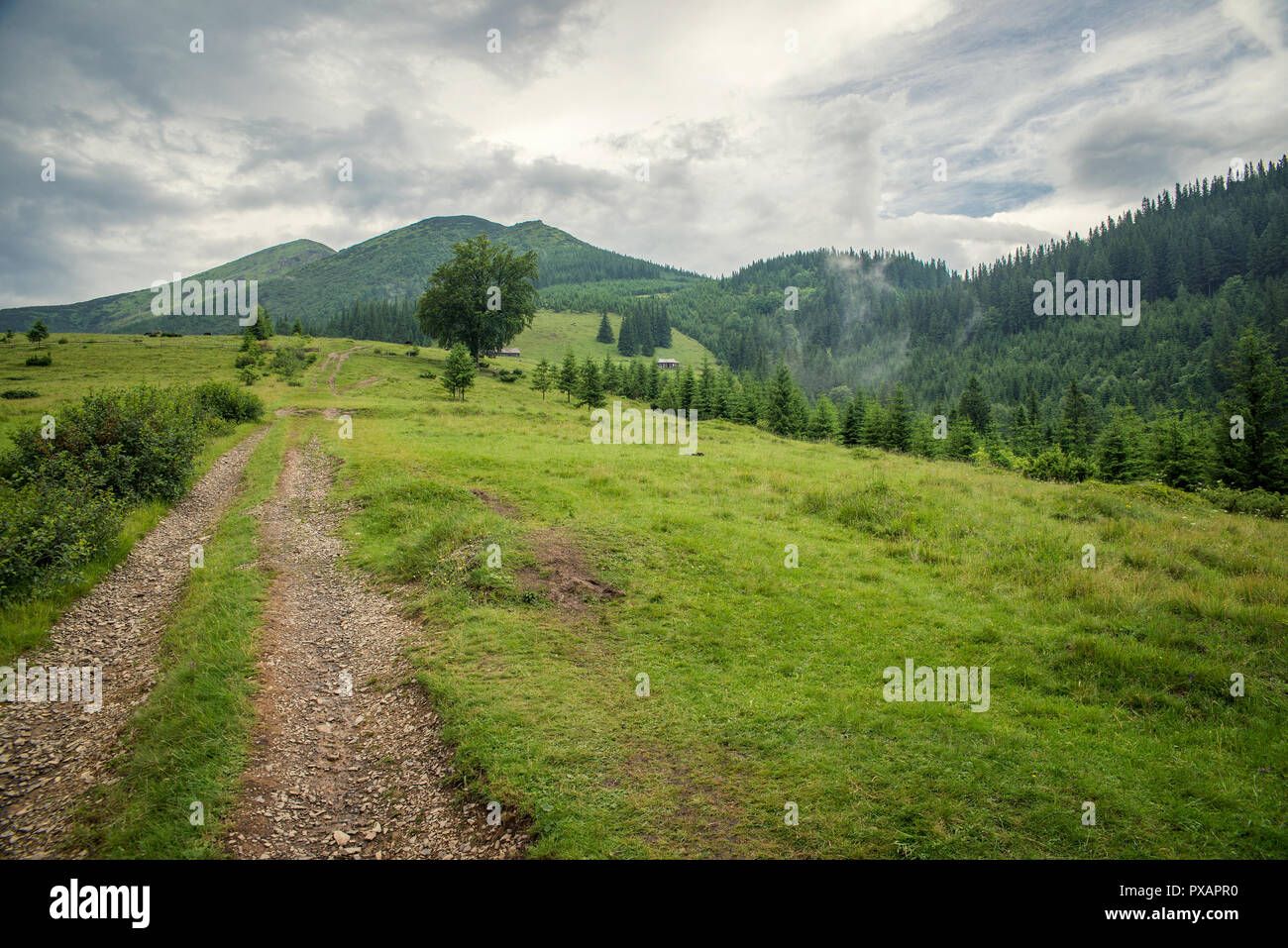 Andscape in den Karpaten. Stockfoto