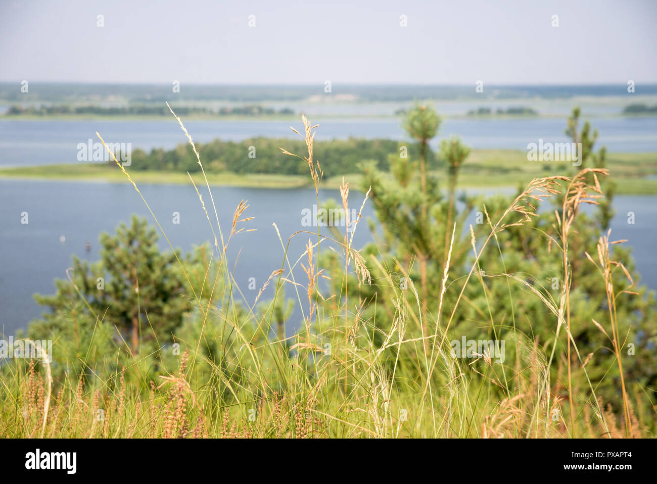 Blick auf die Insel auf dem Dnjepr Stockfoto