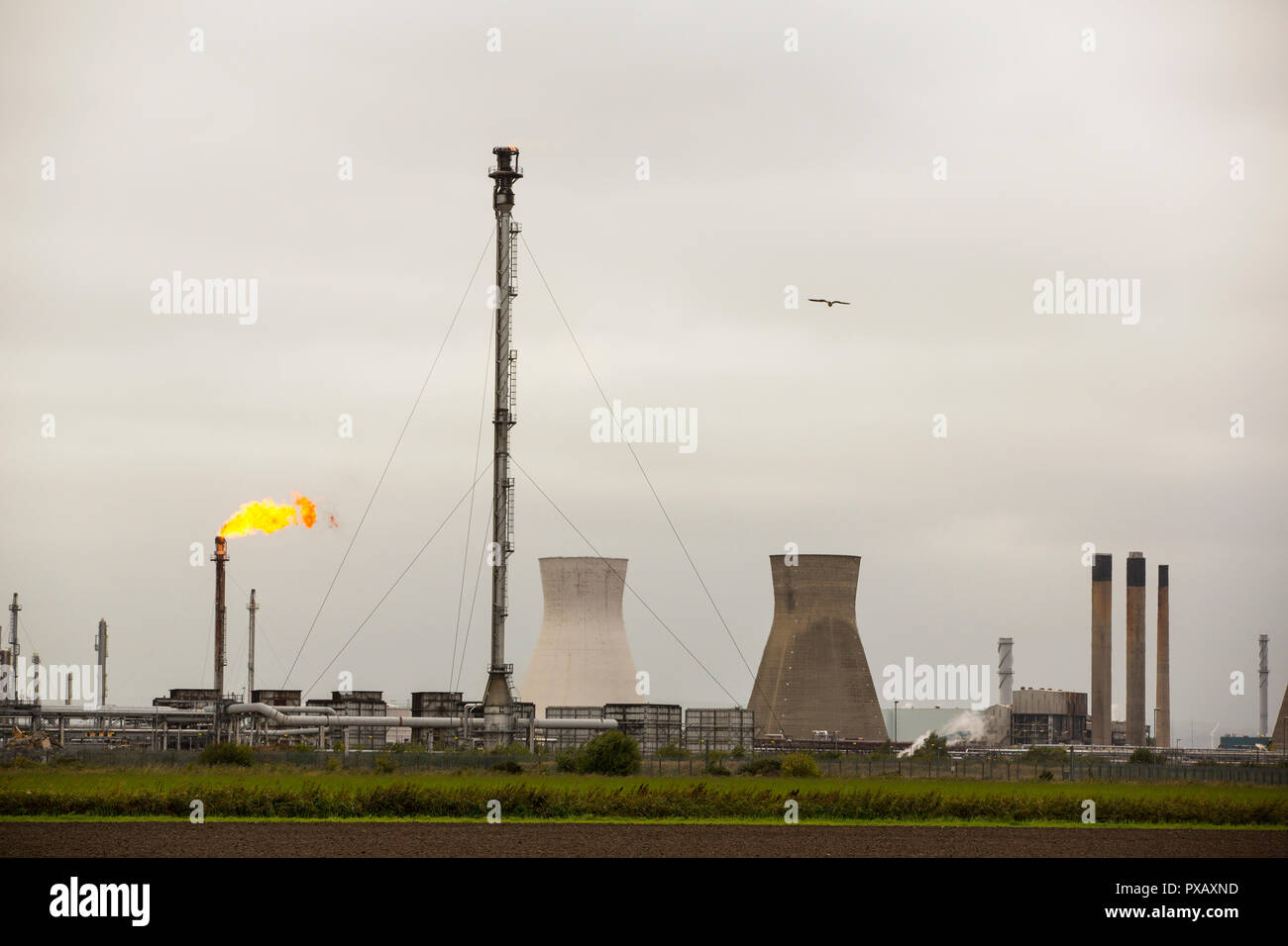 Die völlige Verschwendung von Abfackeln von Gas an der Raffinerie Grangemouth, Schottland, Großbritannien. Stockfoto