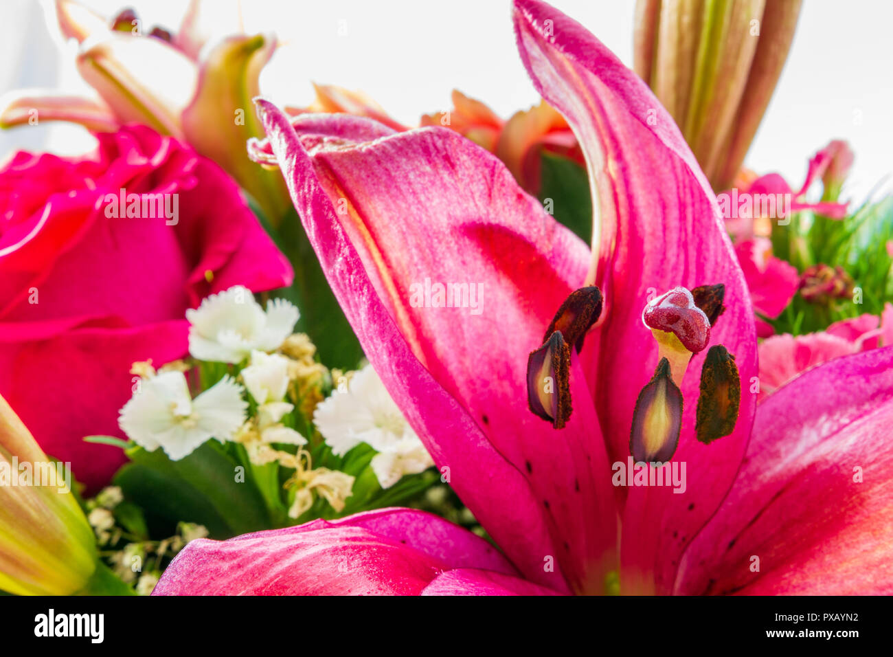 Blume Blumenstrauß extreme Nahaufnahme mit prominenten violett Lilly und andere Blumen Stockfoto