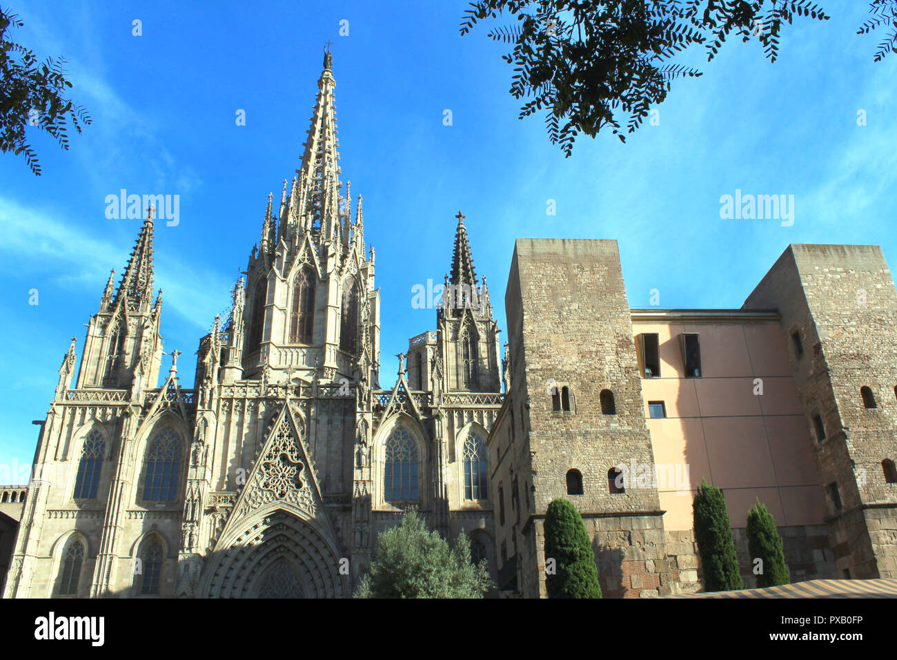 Die Kathedrale von Barcelona Tageslicht Bild-gotischen Architektur - Catalunya Stockfoto