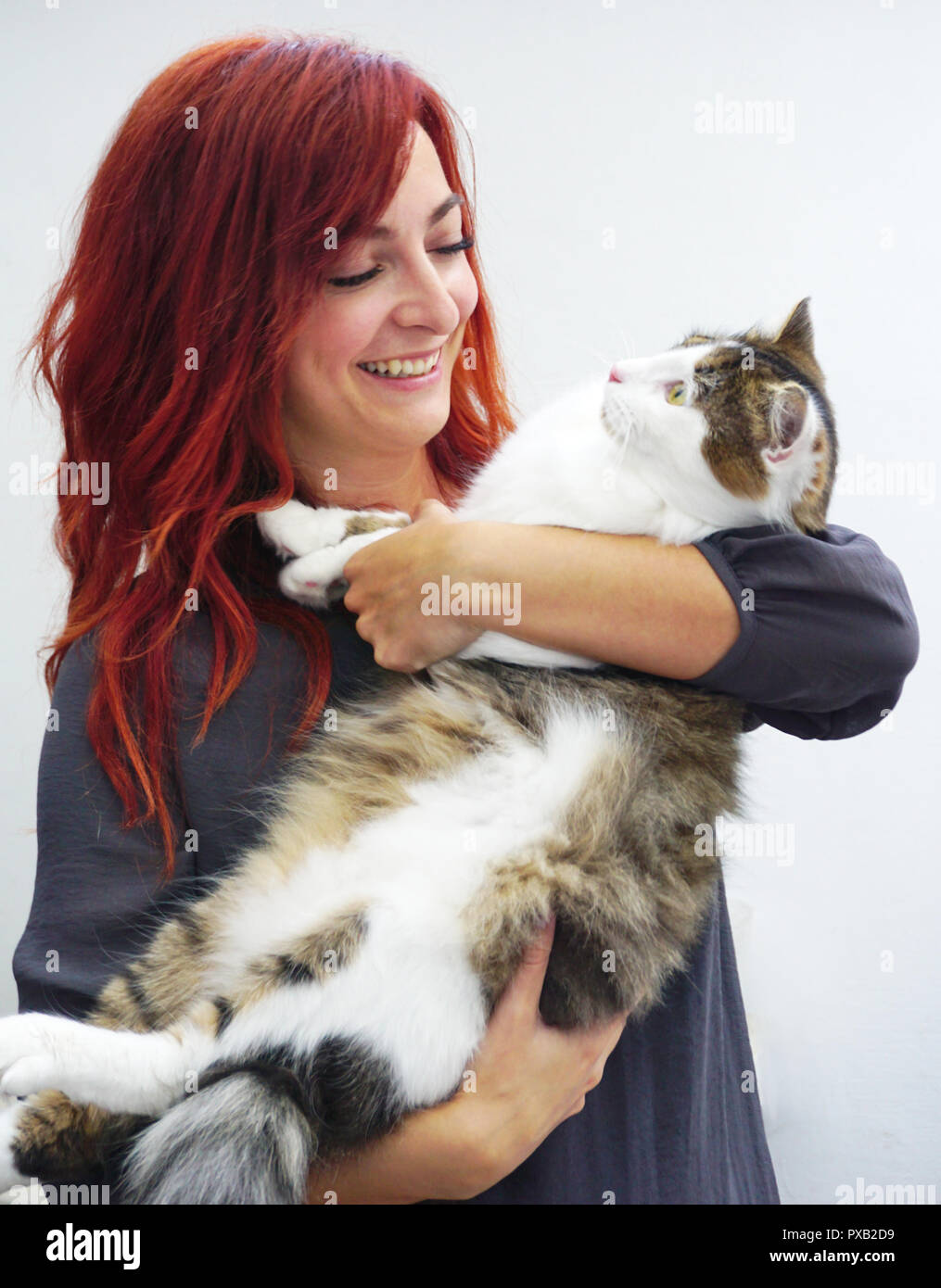Rothaarige Frau lächelt, während eine große schöne Pedigree pet cat Stockfoto