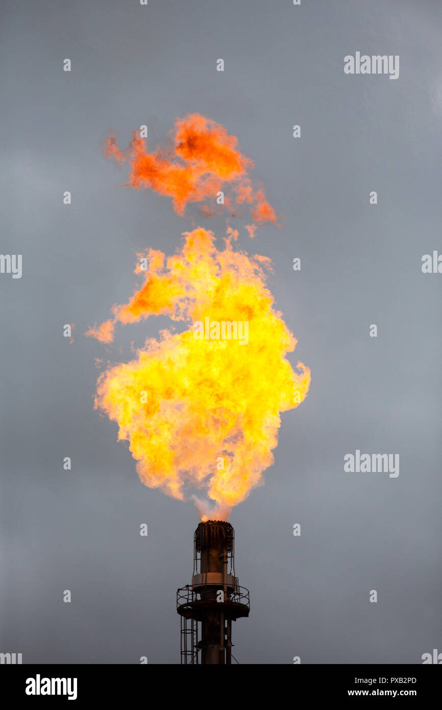 Die völlige Verschwendung von Abfackeln von Gas an der Raffinerie Grangemouth, Schottland, Großbritannien. Stockfoto