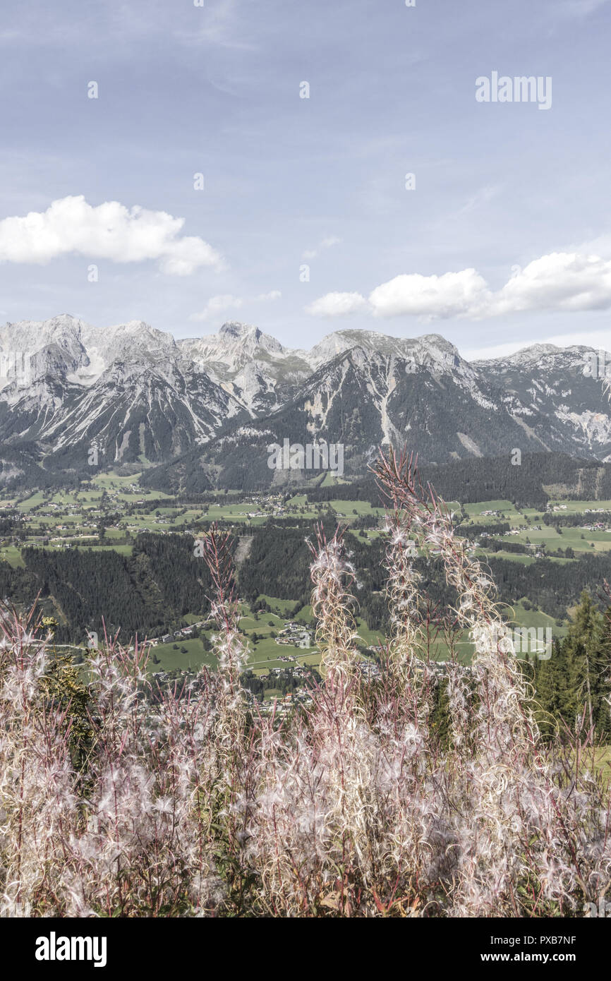 Planai, Blick in die Alpen, Österreich, Steiermark Stockfoto