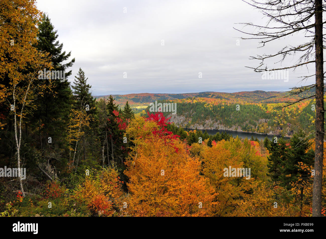 Herbst in Kanada - Mauricie Stockfoto