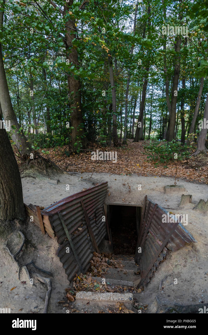 Sanctuary Holz Gräben und weggeworfenen Schalen in Ypern, Belgien Stockfoto