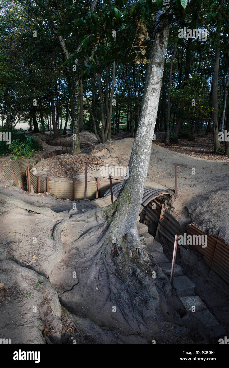 Sanctuary Holz Gräben und weggeworfenen Schalen in Ypern, Belgien Stockfoto