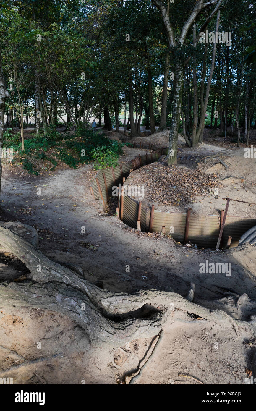 Sanctuary Holz Gräben und weggeworfenen Schalen in Ypern, Belgien Stockfoto