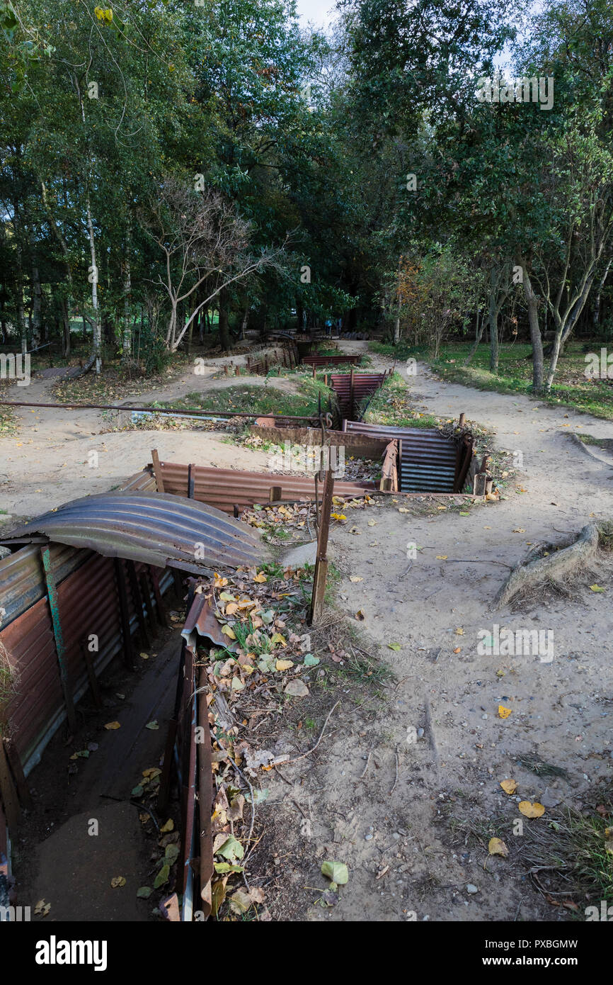 Sanctuary Holz Gräben und weggeworfenen Schalen in Ypern, Belgien Stockfoto
