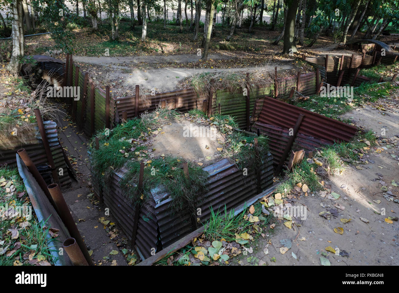 Sanctuary Holz Gräben und weggeworfenen Schalen in Ypern, Belgien Stockfoto