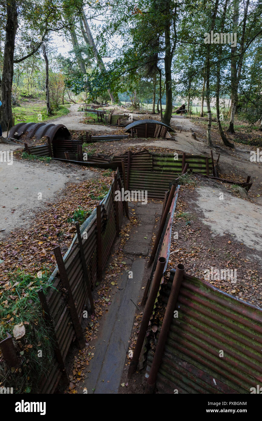 Sanctuary Holz Gräben und weggeworfenen Schalen in Ypern, Belgien Stockfoto
