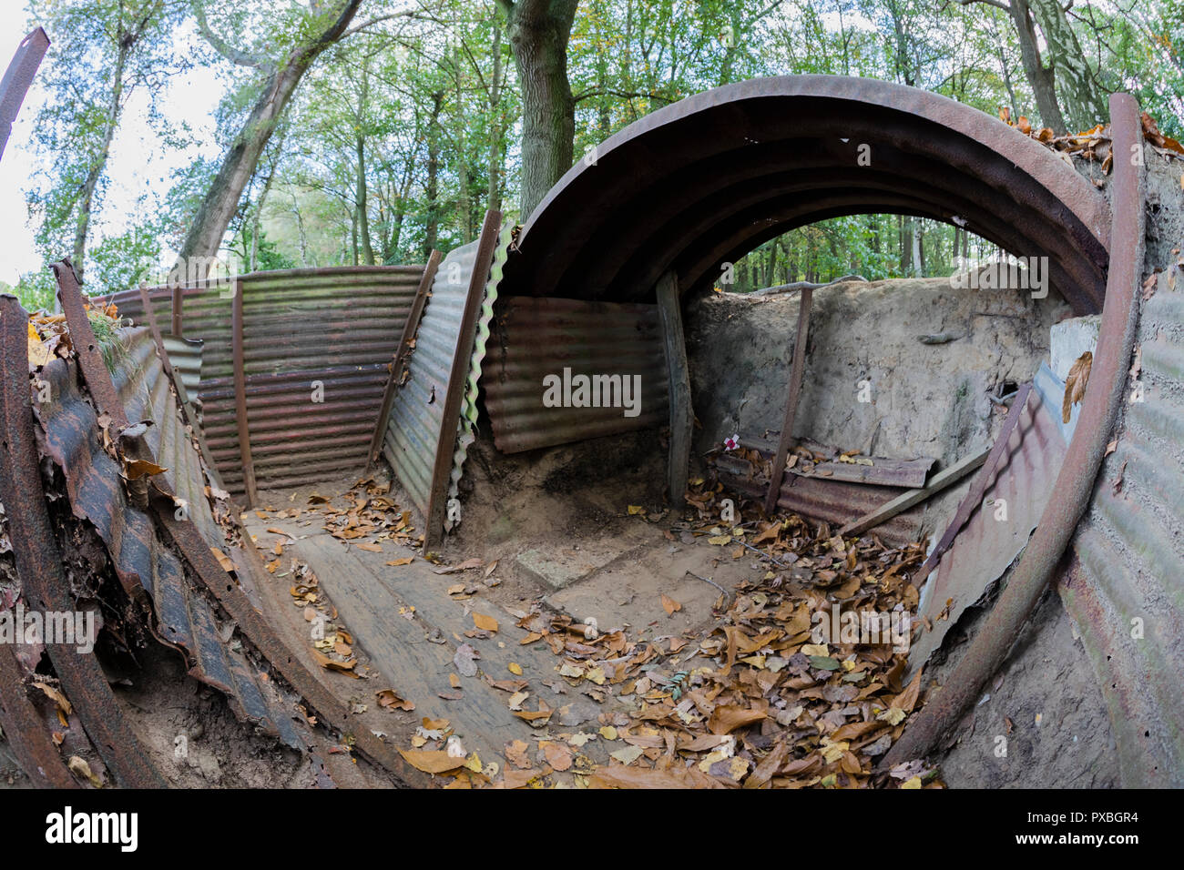 Sanctuary Holz Gräben und weggeworfenen Schalen in Ypern, Belgien Stockfoto