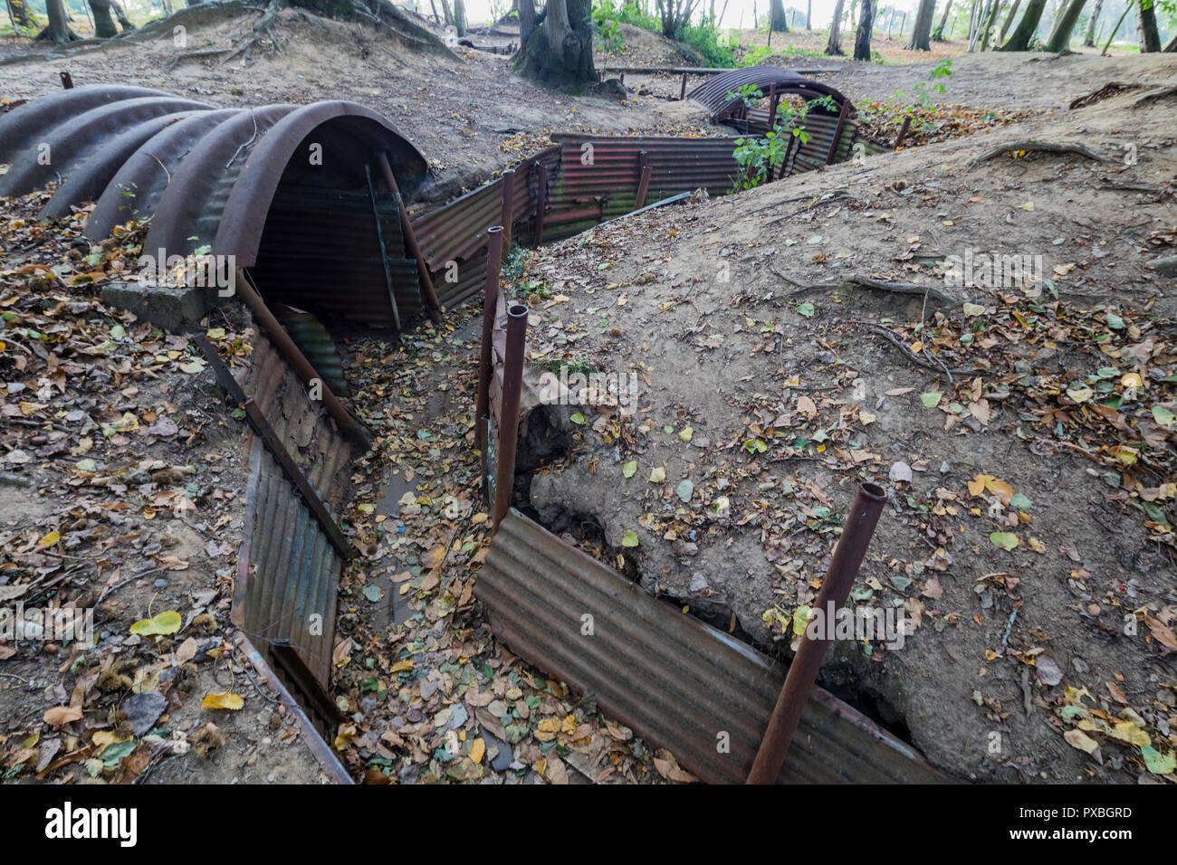 Sanctuary Holz Gräben und weggeworfenen Schalen in Ypern, Belgien Stockfoto