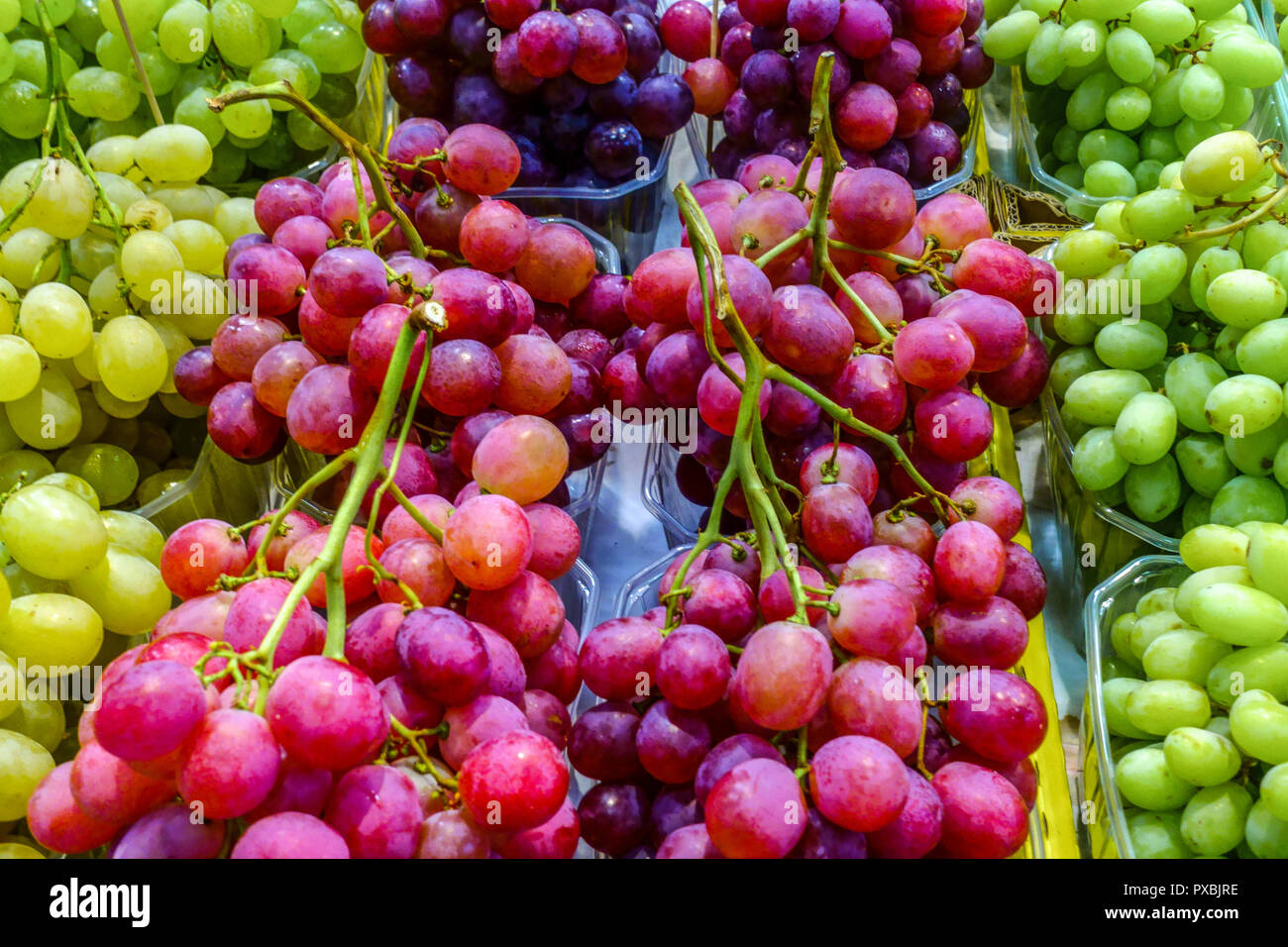 Früchte der Weinrebe in einer Plastikbox für den Verkauf auf dem Markt, Palma de Mallorca, Spanien Stockfoto