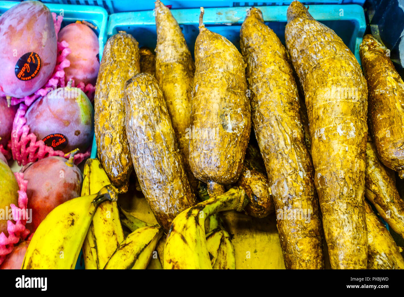 Yucca Wurzeln auf dem Gemüsemarkt, Palma de Mallorca, Spanien Stockfoto