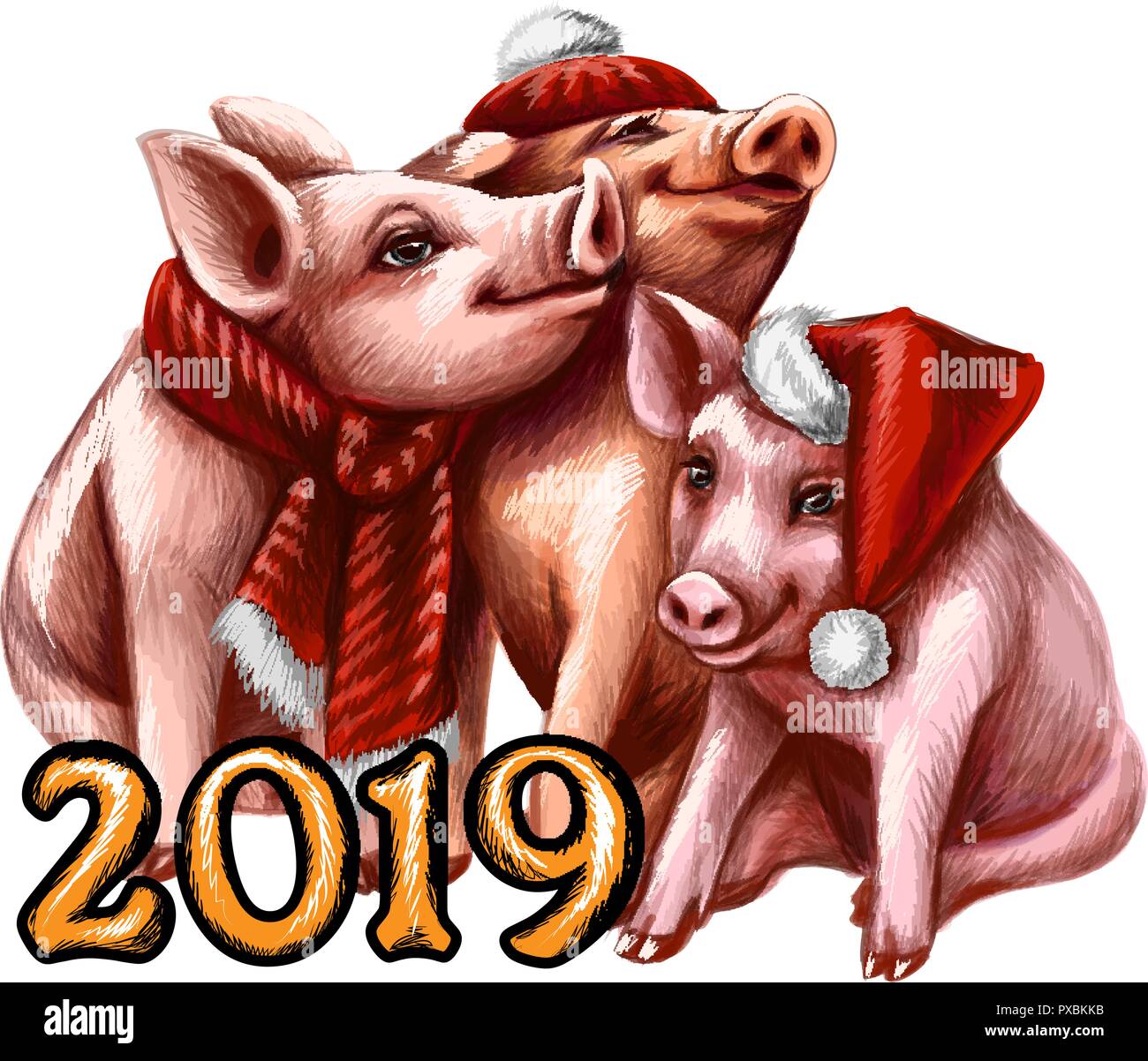 Chinesische Sternzeichen Jahr des Schweins, Happy Chinese New Year 2019 Jahr des Schweins Stock Vektor