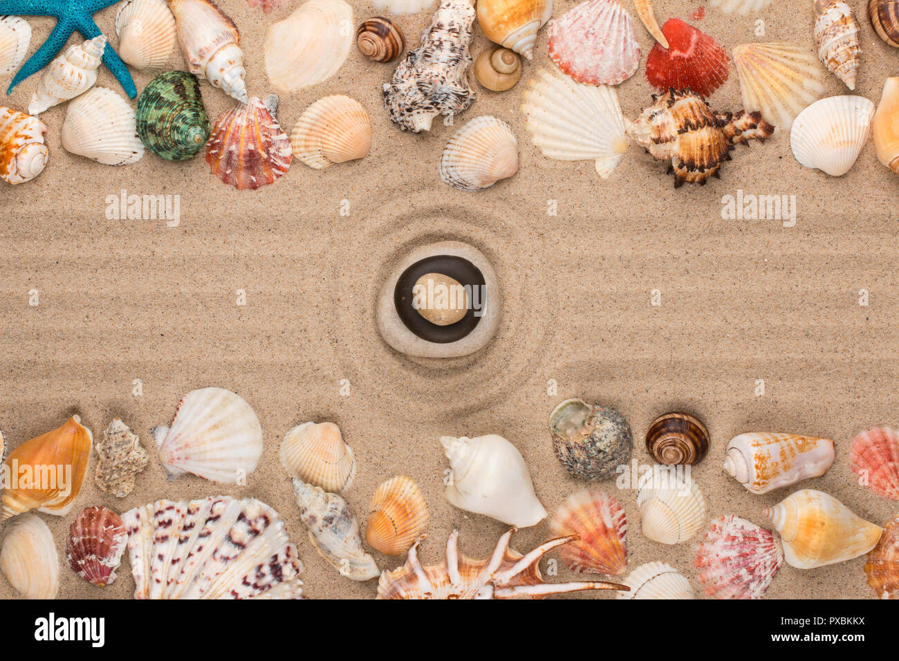Zwei Muschel in der Mitte eines Kreises aus Sand, Muscheln und Sterne. Ansicht von oben Stockfoto