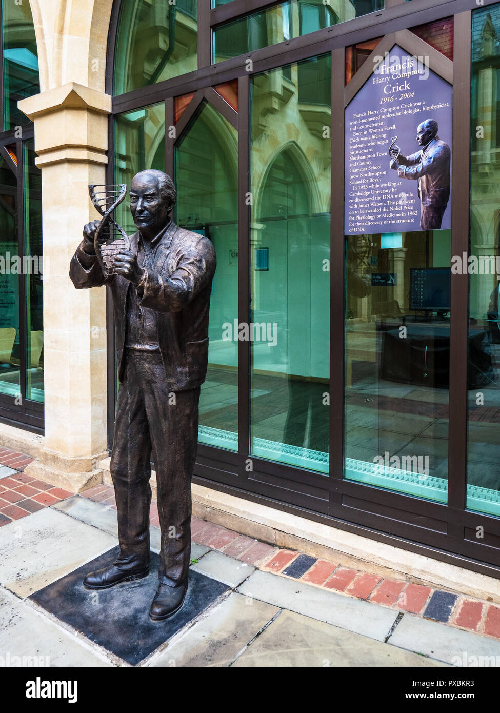 Francis Crick Statue Northampton Guildhall - Nobelpreisträger an der Northampton Town und Grafschaft Gymnasium ausgebildet. Bildhauer Richard Austin Stockfoto