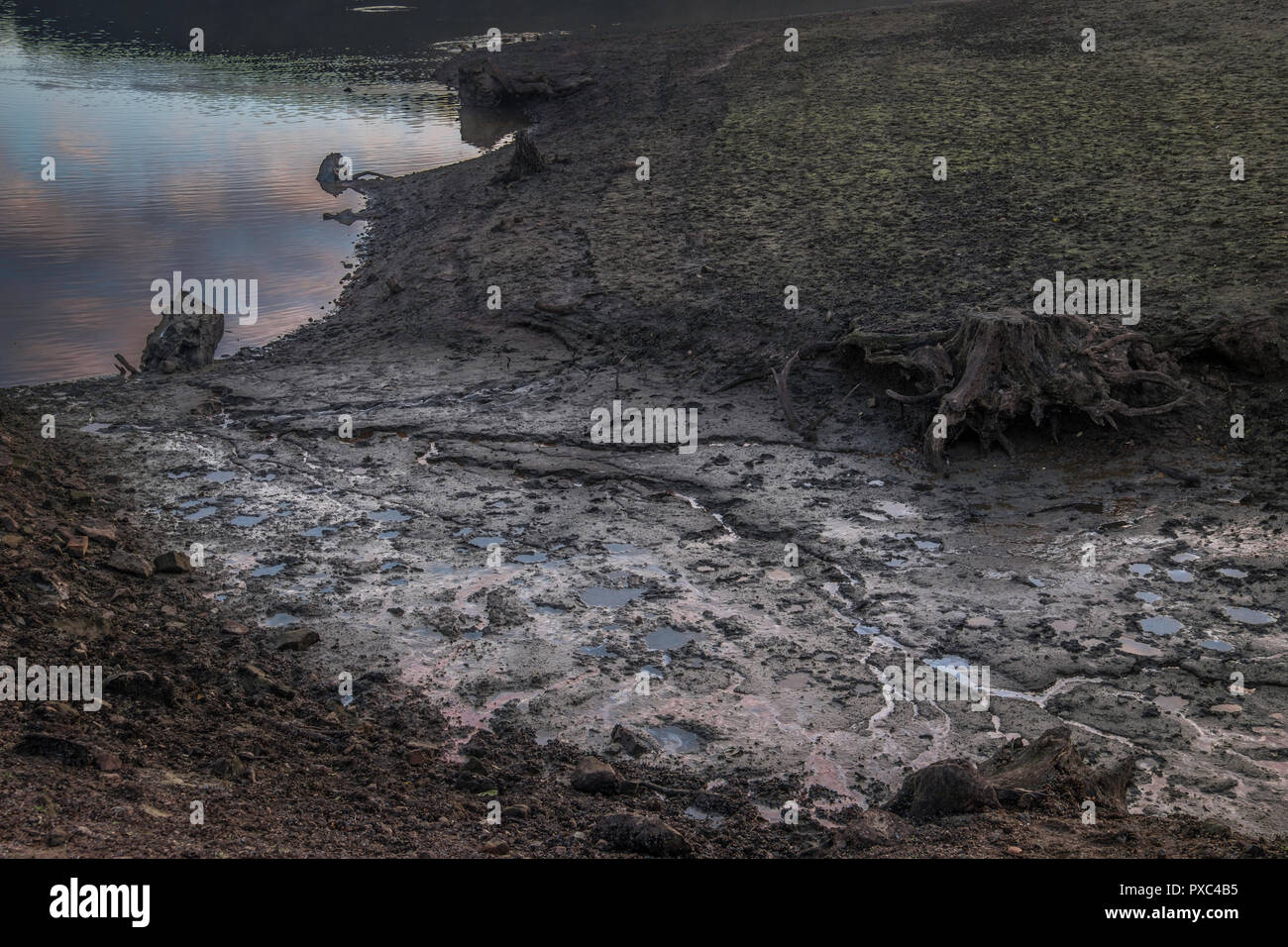 Derbyshire, Großbritannien. Okt 2018 21. Nach einer langen Phase der geringen Niederschlägen reservoir Levels sind weit unter dem Durchschnitt in Staunton Harold gesehen von Severn Trent Water verwaltet. Credit: Bill Allsopp/Alamy Leben Nachrichten. Stockfoto