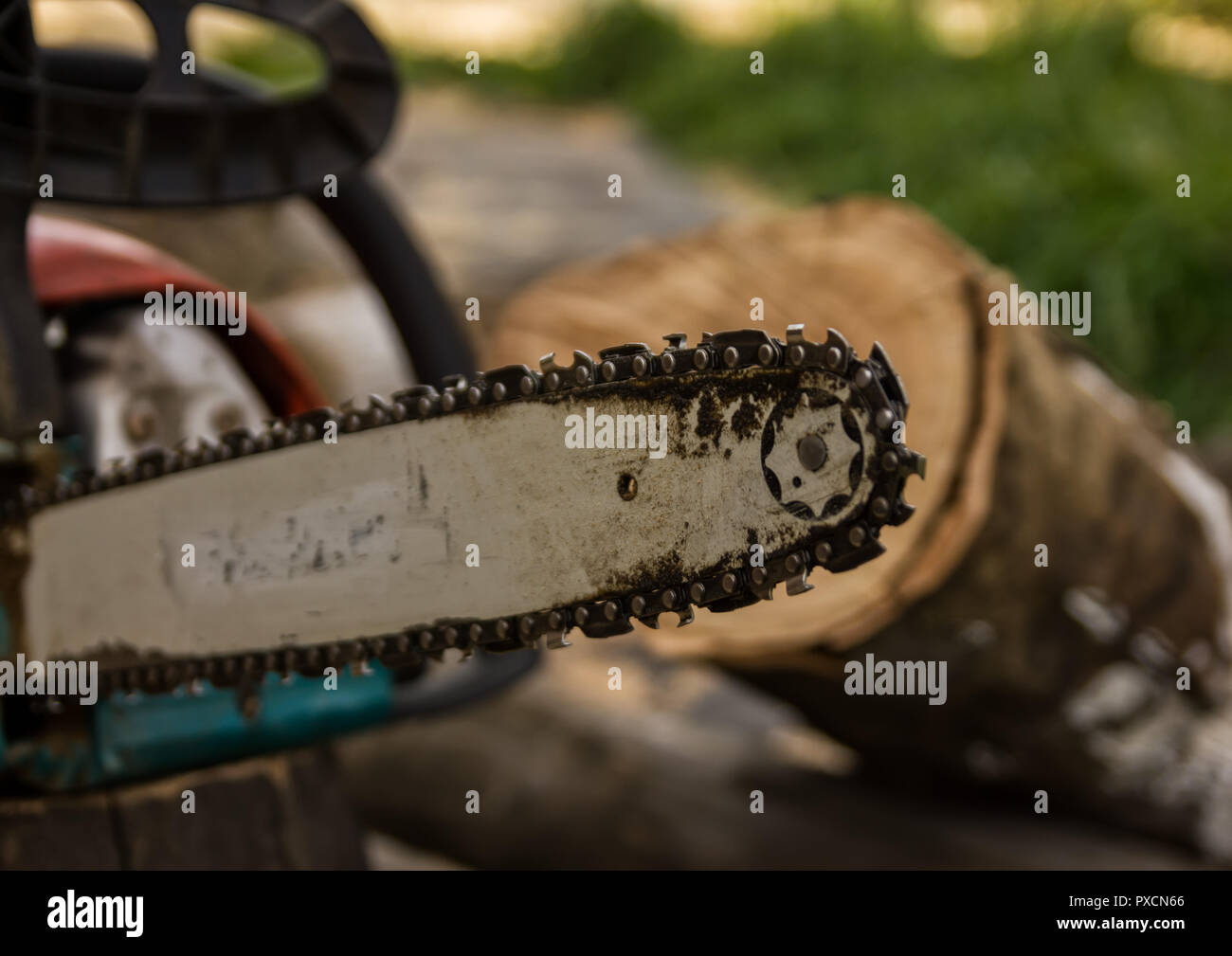 Lumberman mit Motorsäge Sägen von trockenem Holz liegen auf dem Boden. Stockfoto