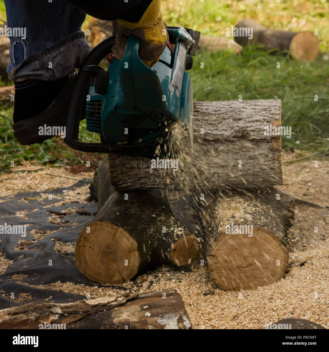 Kettensäge auf dem Hintergrund von Schnittholz rundholz Brennholz für den Winter Stockfoto